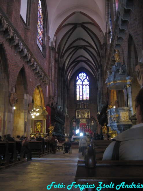 wroclaw_2012_cathedral__009.jpg