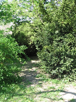Ujpest_park_10.JPG