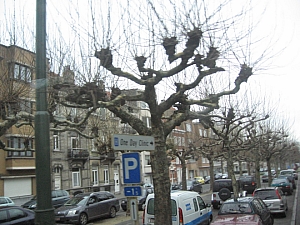 brussel__344_Budapest_London_2008.01.04.JPG brussel__344_Budapest_London_2008.01.04.JPG