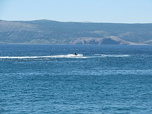 novi_vin_2020_strand__037.jpg