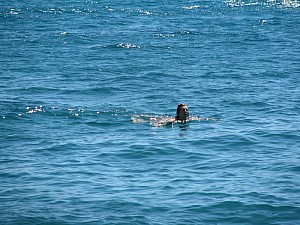 novi_vin_2020_strand__042.jpg