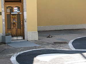 Novi_vinodolski_2020__varos_020.jpg