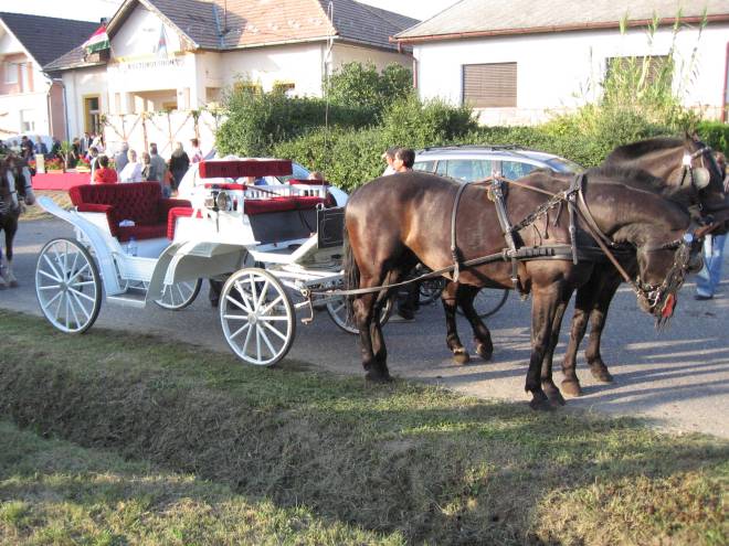 csomad_falunap_2007_01.JPG
