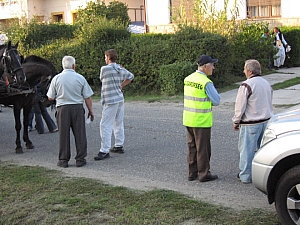 IMG_3925.JPG
