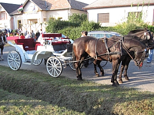 csomad_falunap_2007_01.JPG