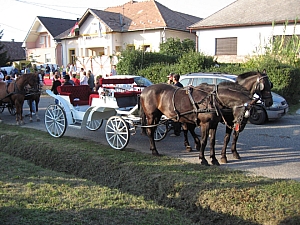 csomad_falunap_2007_02.JPG