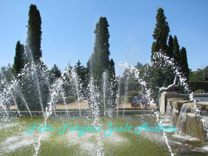 debrecen_2009_052.JPG