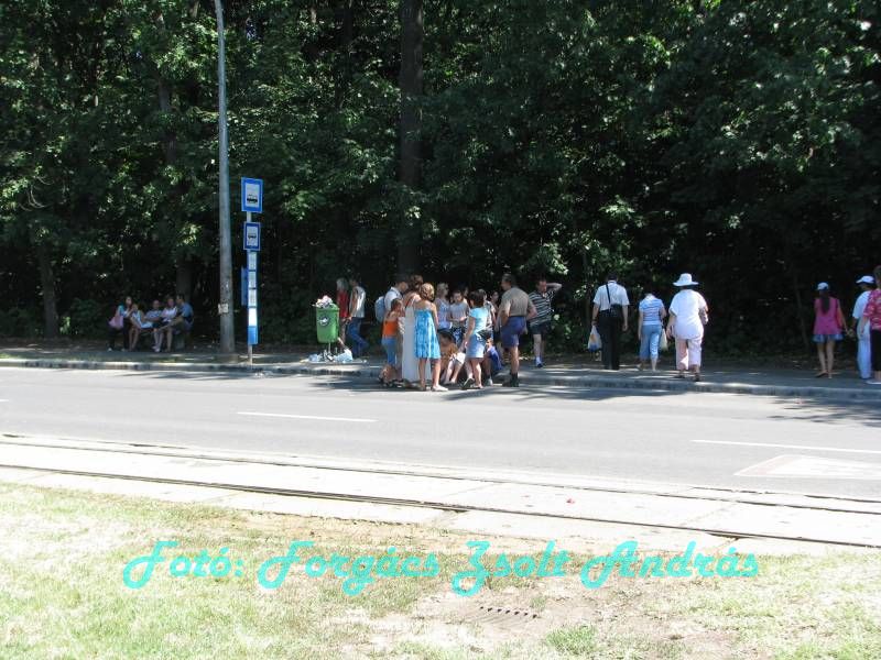 debrecen_2009_063.JPG