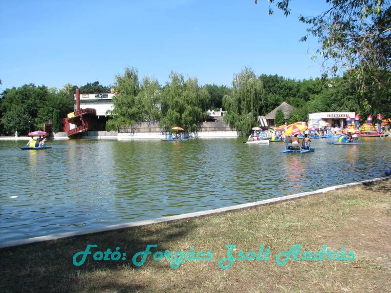 debrecen_2009_081.JPG