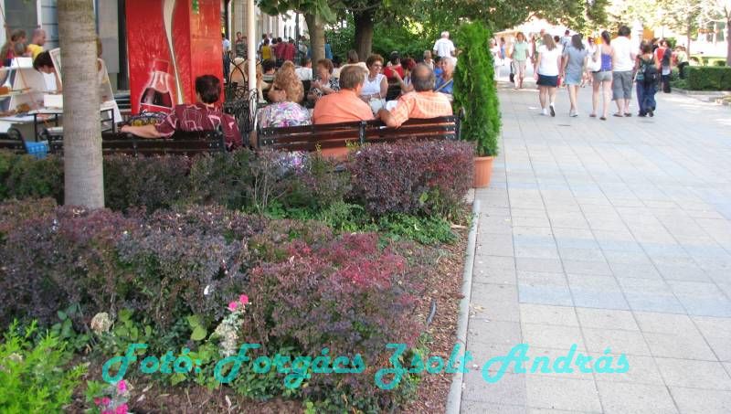 debrecen_2009_178.JPG