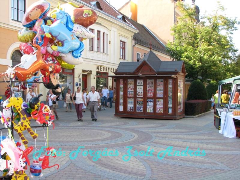 debrecen_2009_192.JPG