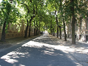 debrecen_2009_003.JPG debrecen_2009_003.JPG