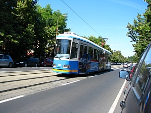 debrecen_2009_100.JPG debrecen_2009_100.JPG
