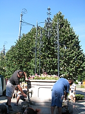 debrecen_2009_174.JPG debrecen_2009_174.JPG