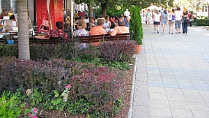 debrecen_2009_178.JPG debrecen_2009_178.JPG