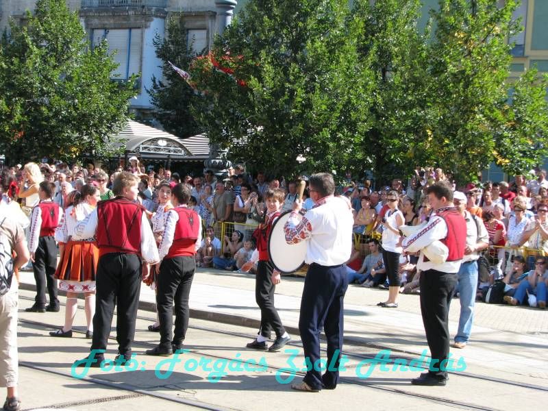 debreceni_virag_karneval_2009__002.JPG