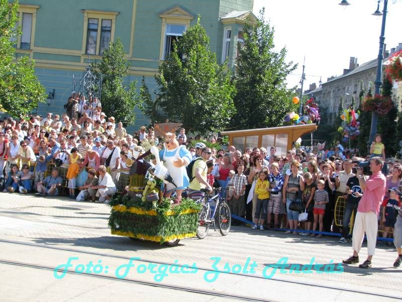 debreceni_virag_karneval_2009__007.JPG