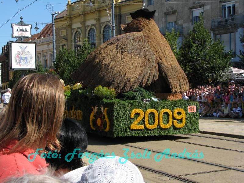 debreceni_virag_karneval_2009__011.JPG