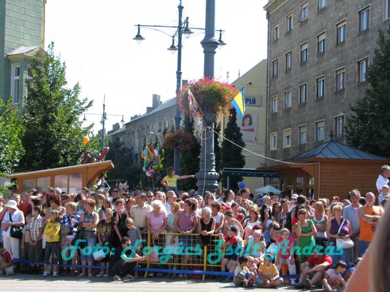 debreceni_virag_karneval_2009__012.JPG