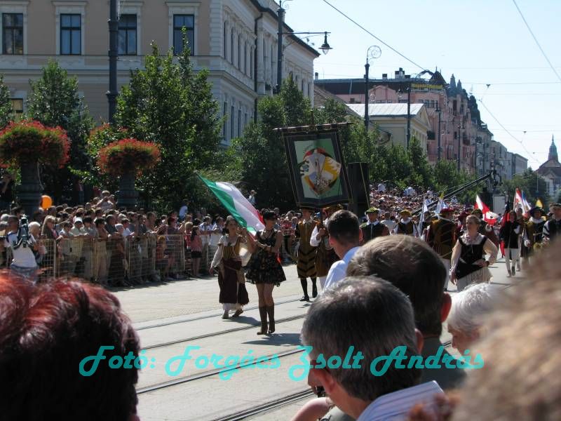debreceni_virag_karneval_2009__018.JPG
