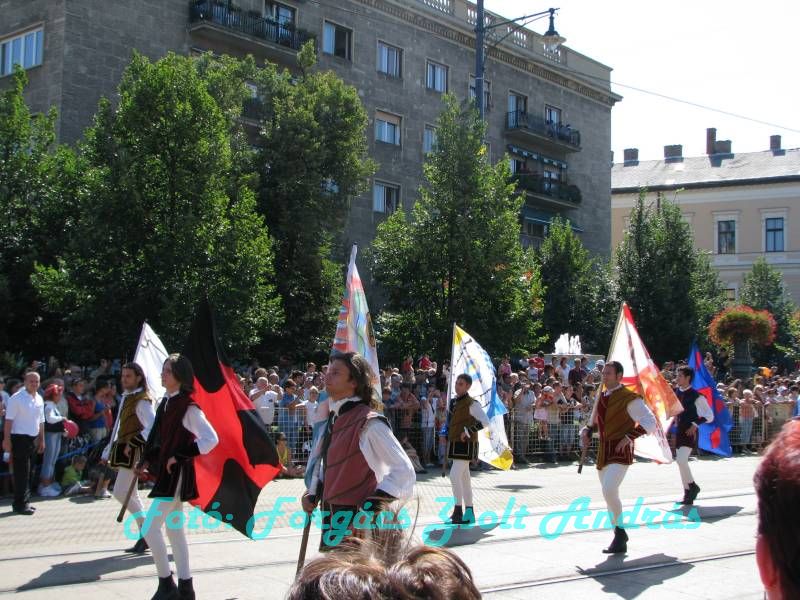 debreceni_virag_karneval_2009__023.JPG