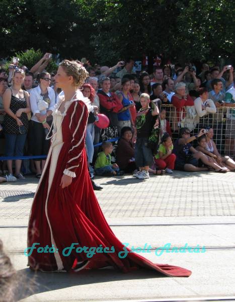 debreceni_virag_karneval_2009__025.JPG
