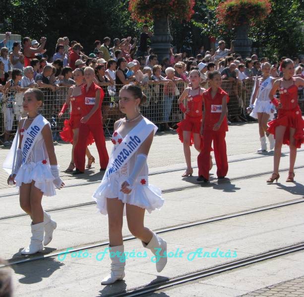 debreceni_virag_karneval_2009__033.JPG
