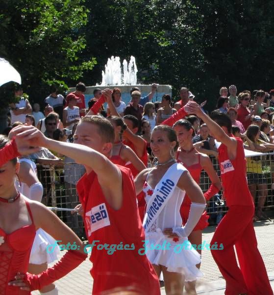 debreceni_virag_karneval_2009__035.jpg