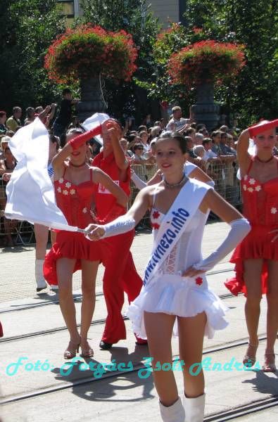 debreceni_virag_karneval_2009__036.JPG