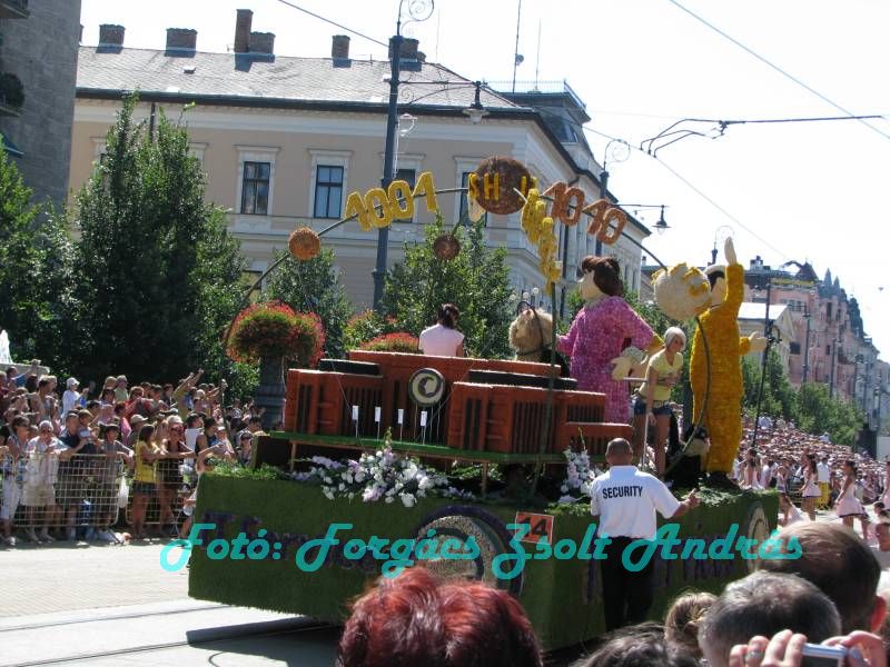 debreceni_virag_karneval_2009__041.JPG
