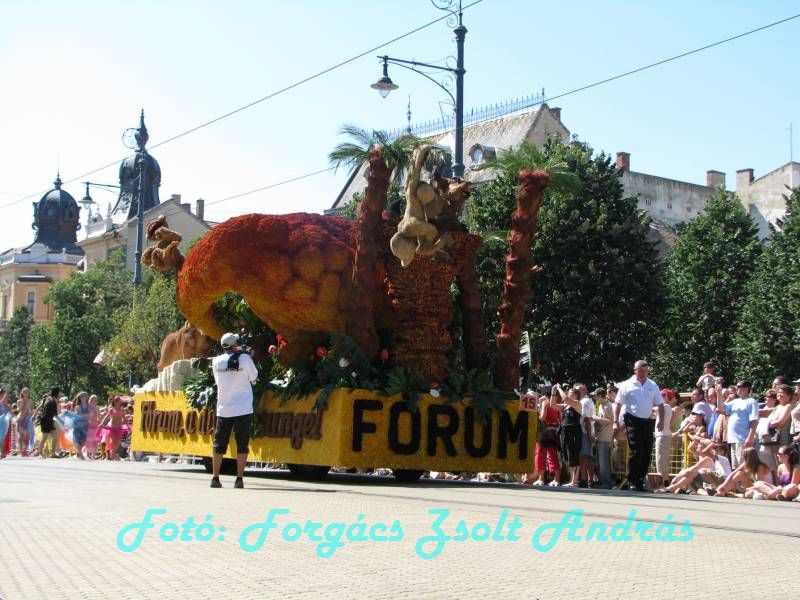 debreceni_virag_karneval_2009__053.JPG