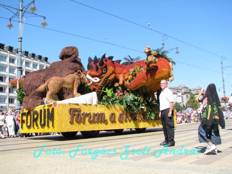 debreceni_virag_karneval_2009__056.JPG