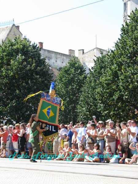 debreceni_virag_karneval_2009__059.JPG