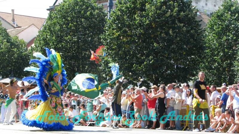 debreceni_virag_karneval_2009__060.JPG