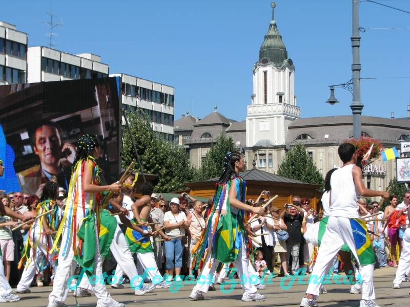 debreceni_virag_karneval_2009__065.JPG