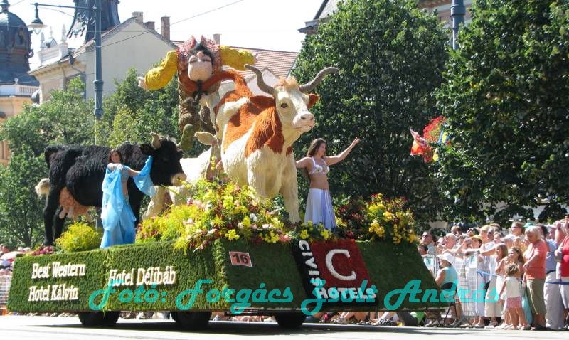 debreceni_virag_karneval_2009__067.JPG