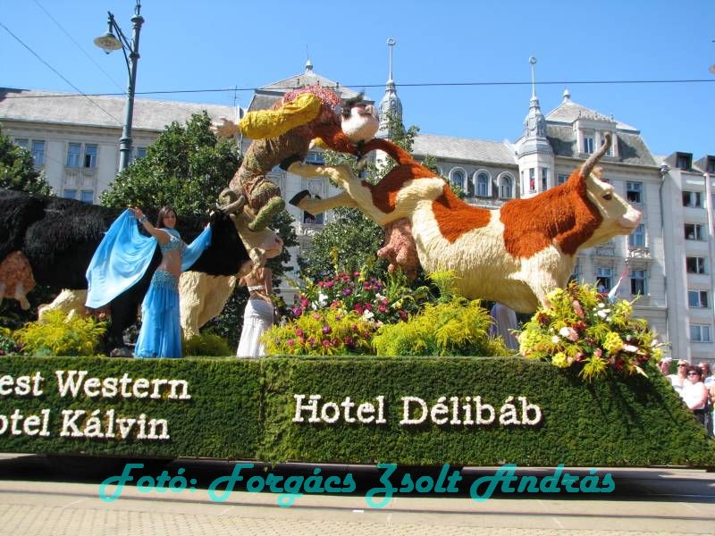 debreceni_virag_karneval_2009__069.JPG