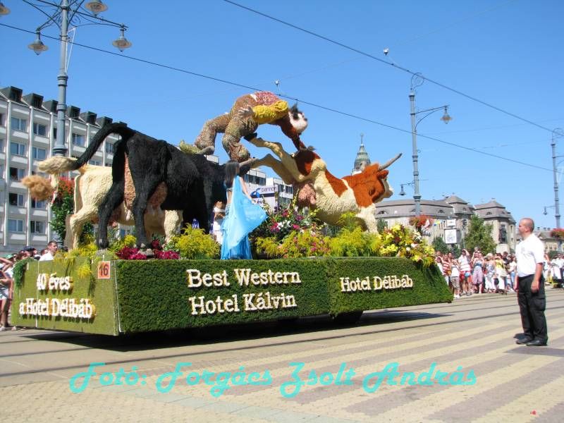 debreceni_virag_karneval_2009__070.JPG