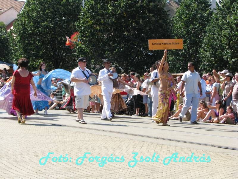 debreceni_virag_karneval_2009__071.JPG
