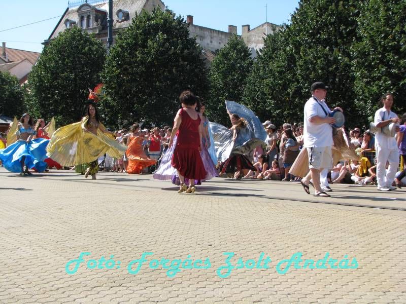debreceni_virag_karneval_2009__072.JPG