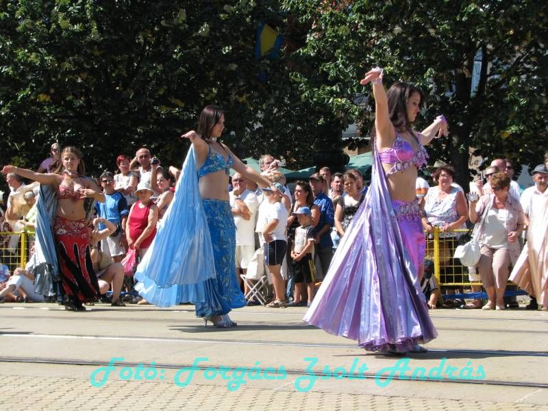 debreceni_virag_karneval_2009__074.JPG