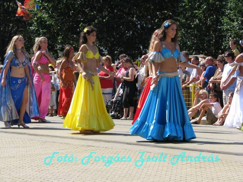 debreceni_virag_karneval_2009__076.JPG