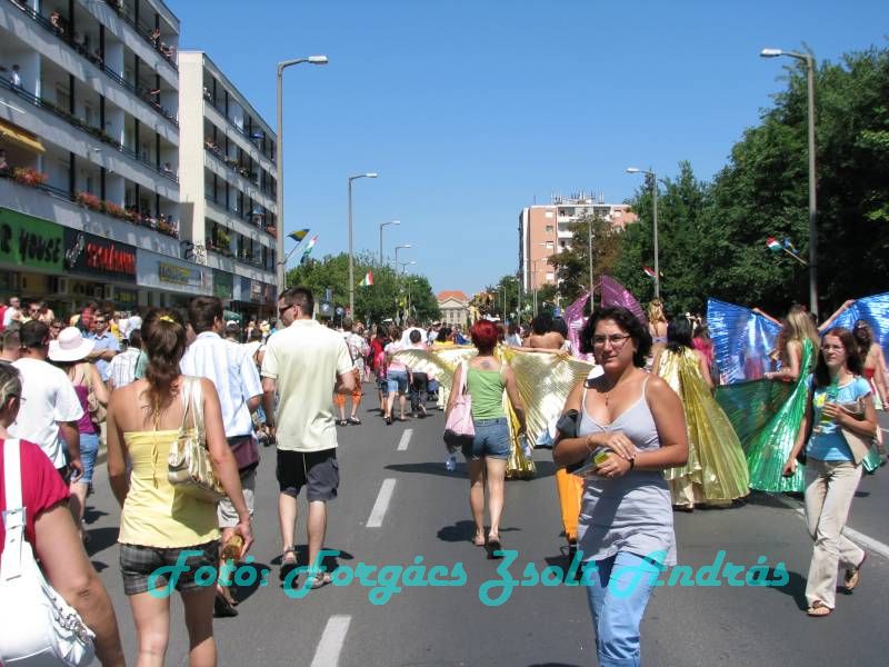 debreceni_virag_karneval_2009__077.JPG