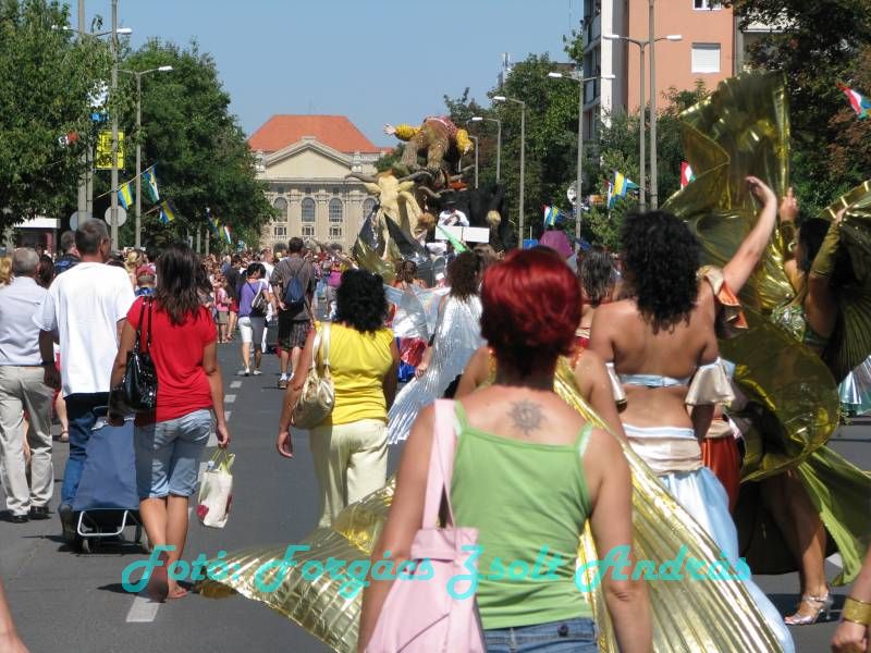 debreceni_virag_karneval_2009__078.JPG