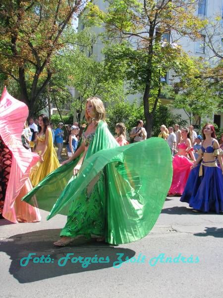 debreceni_virag_karneval_2009__079.JPG