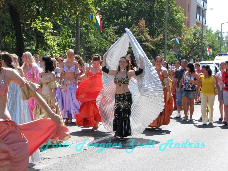 debreceni_virag_karneval_2009__080.JPG