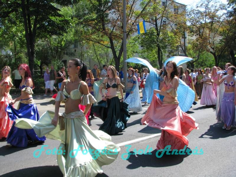 debreceni_virag_karneval_2009__081.JPG