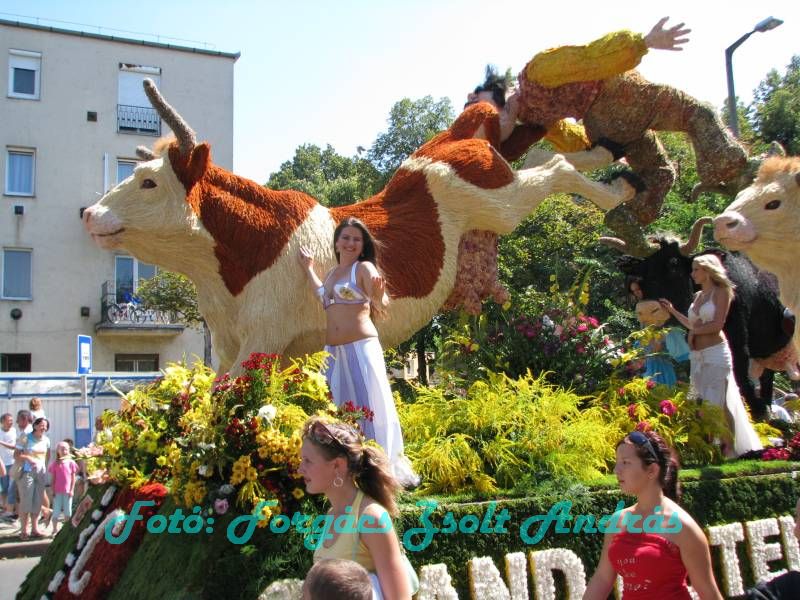 debreceni_virag_karneval_2009__084.JPG