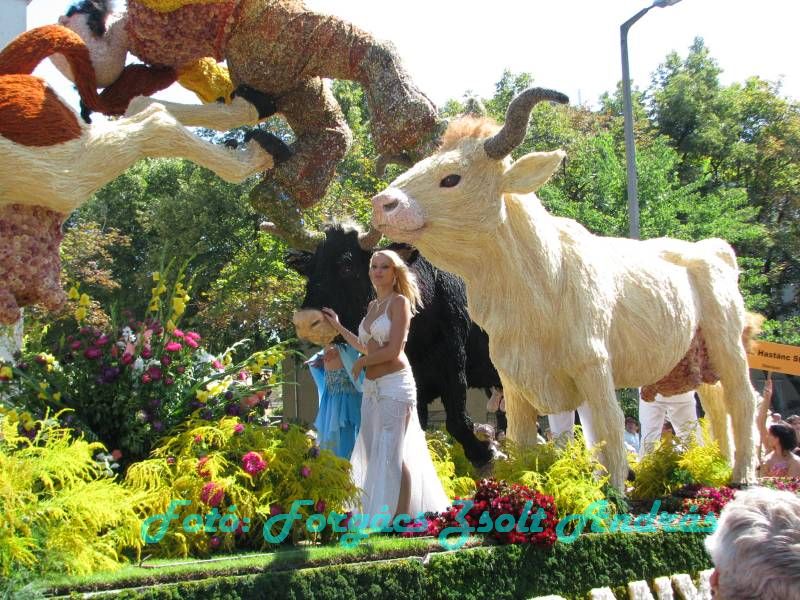 debreceni_virag_karneval_2009__085.JPG