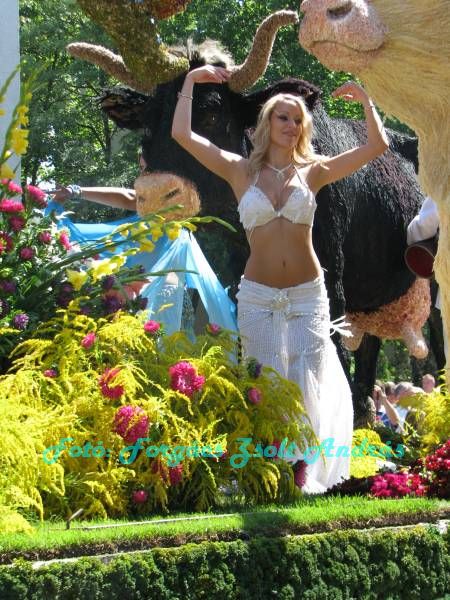 debreceni_virag_karneval_2009__089.JPG